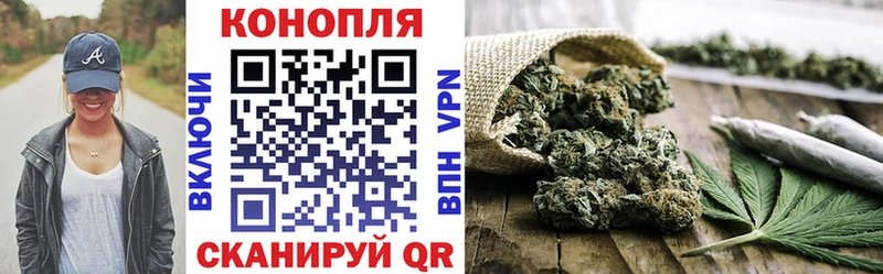 Купить закладки  Рудня  Бошки марихуана VHQ 